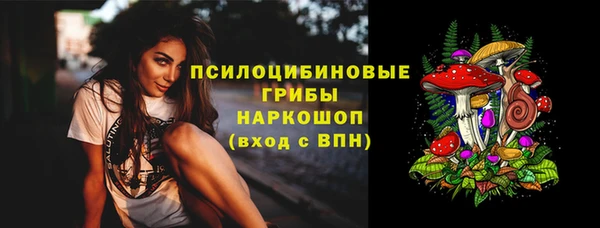 стаф Михайлов