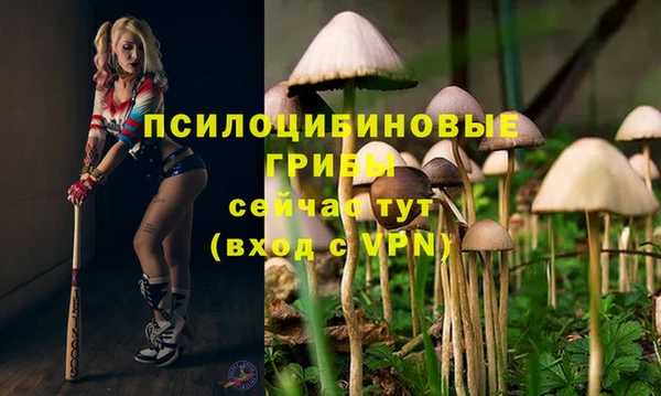 кокаин колумбия Михайловка