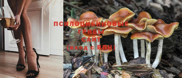 стаф Михайлов