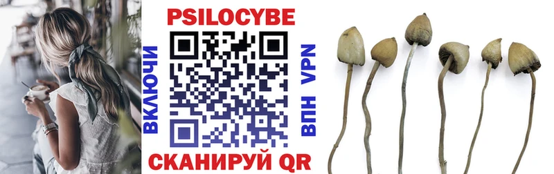 Псилоцибиновые грибы MAGIC MUSHROOMS  Севастополь 